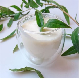 Verveine